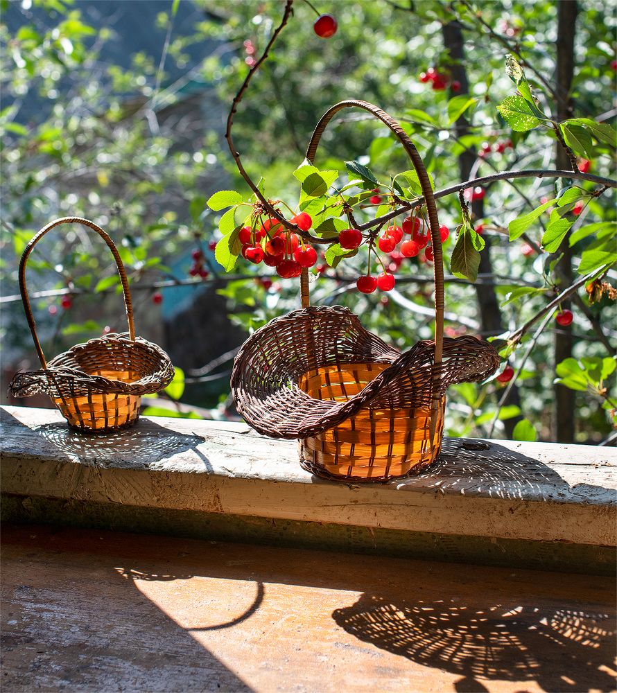 Photograph by Дмитрий Лысогоров