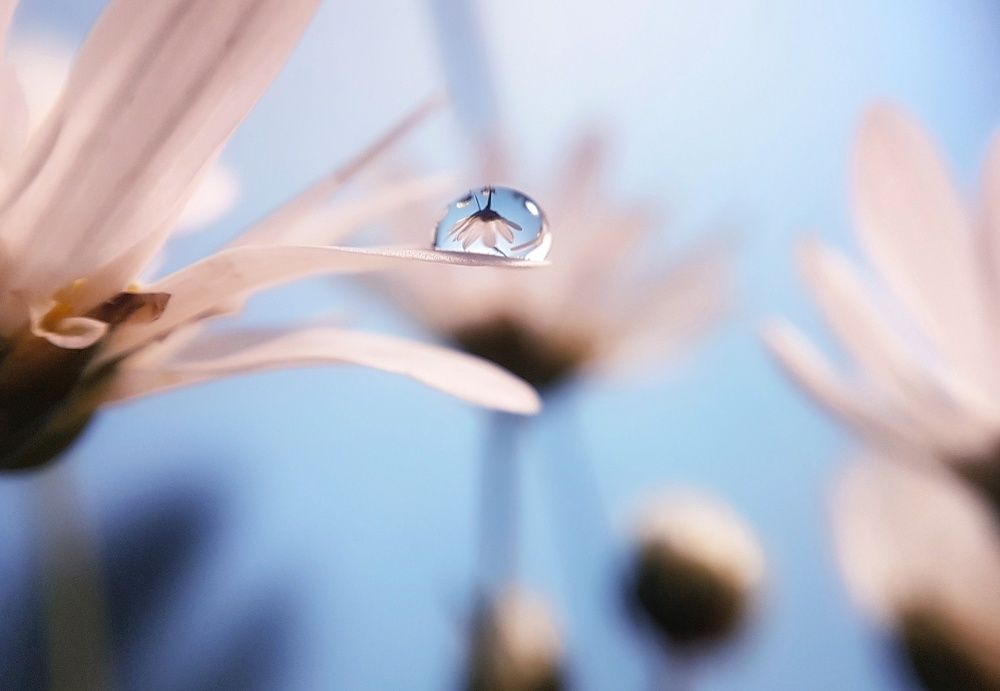 Photograph by Lien Nguyen