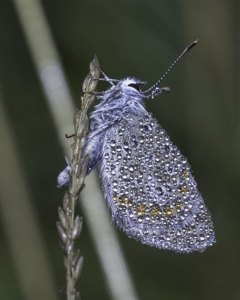 Photograph by Михаил