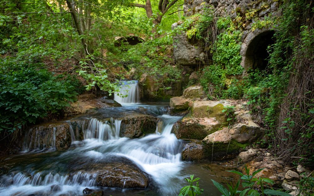 Photograph by Michel Yazbeck