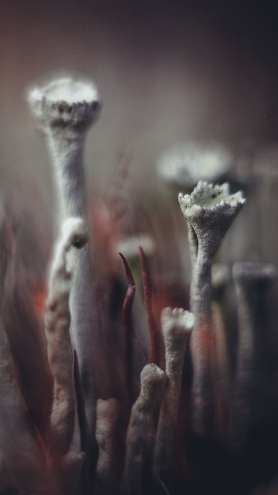 Photograph by Артемий Соловьёв