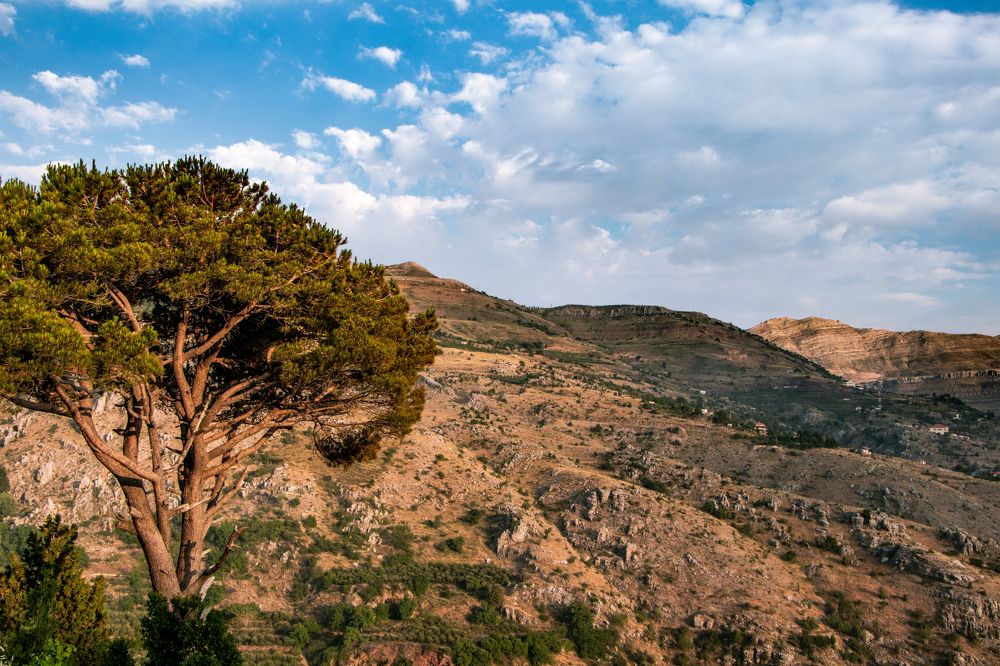 Photograph by Michel Yazbeck