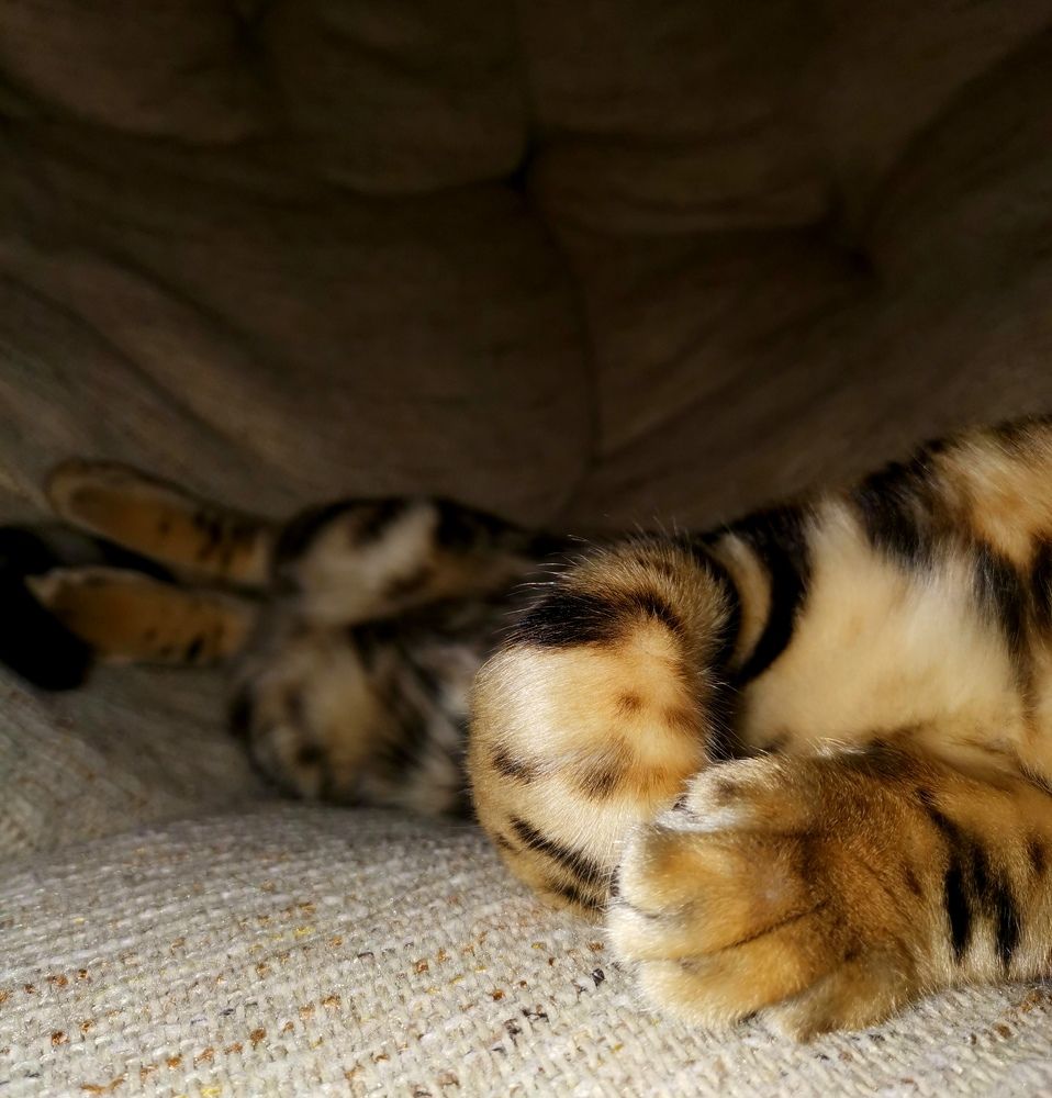 Photograph by Сергей Подлевский