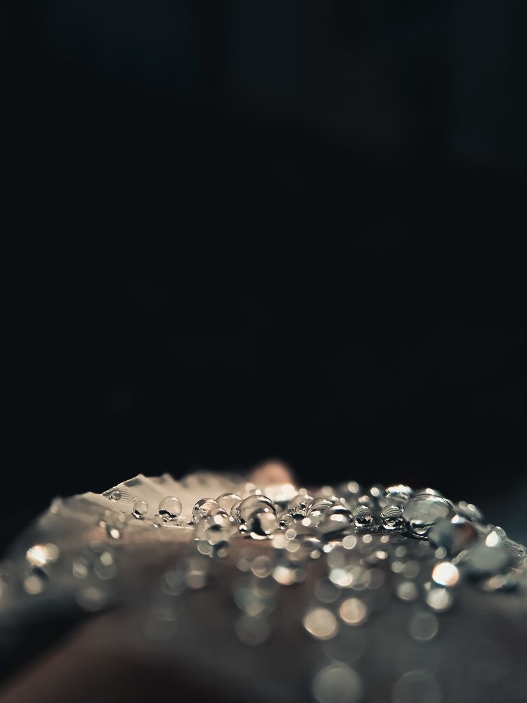Photograph by Chinmay Joshi