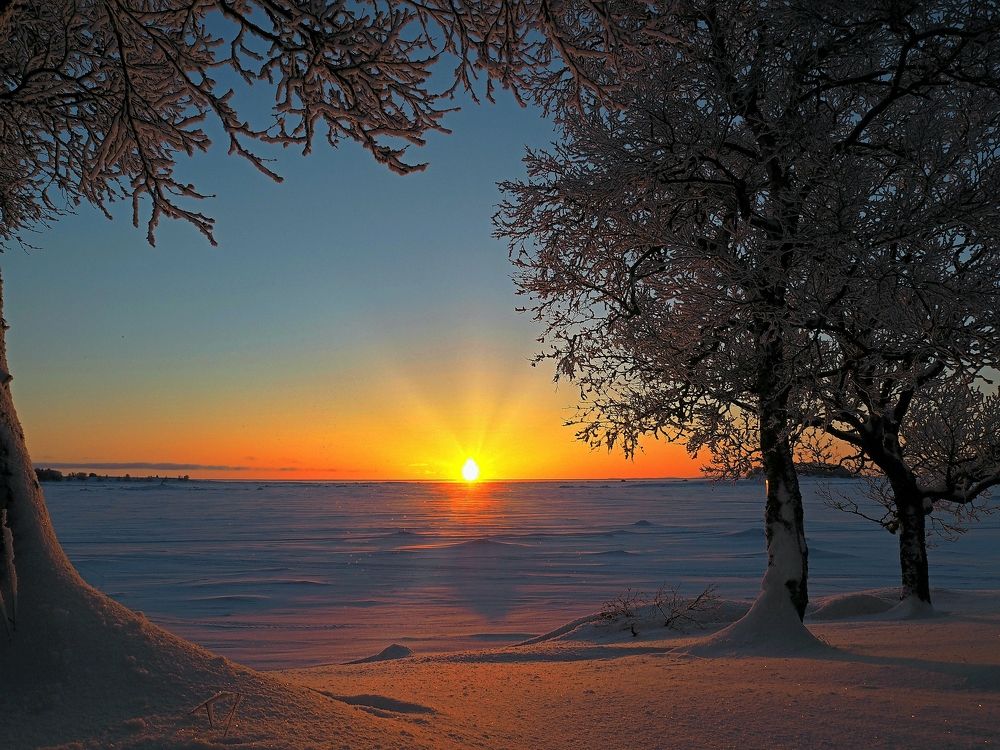 Photograph by Евгений Яковлев