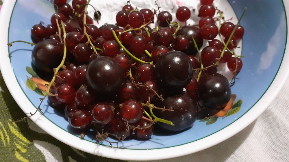 Photograph by Елена Лещева