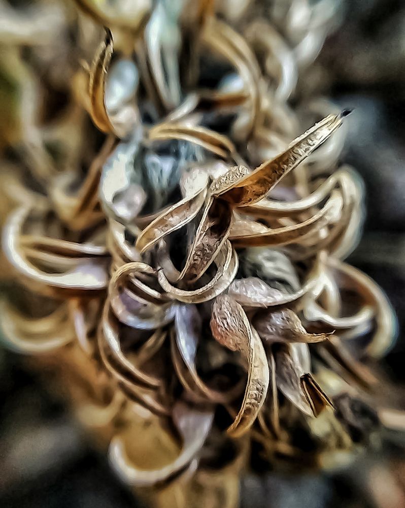 Photograph by Алексей Копылов