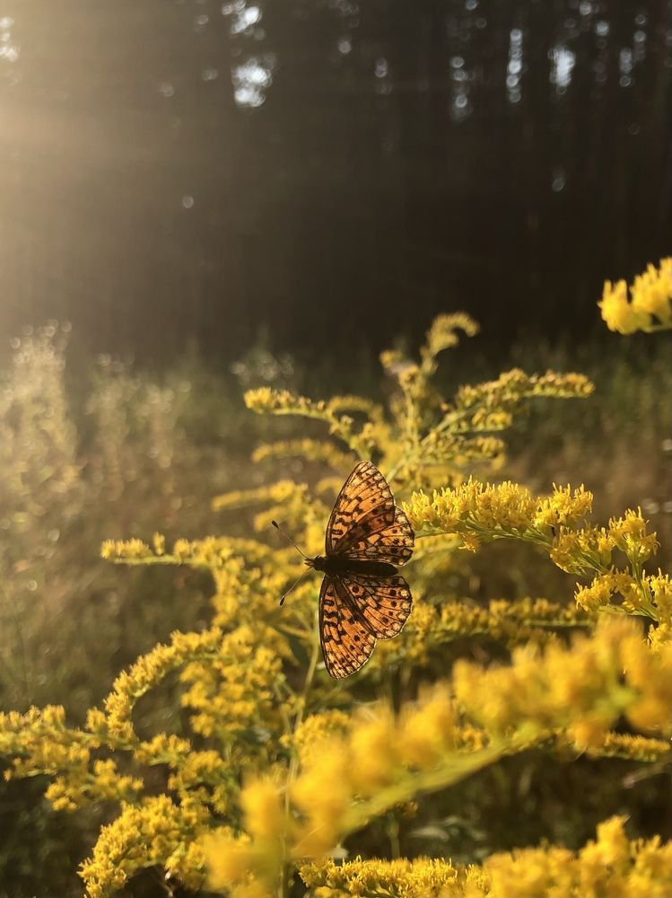 Photograph by Анастасия