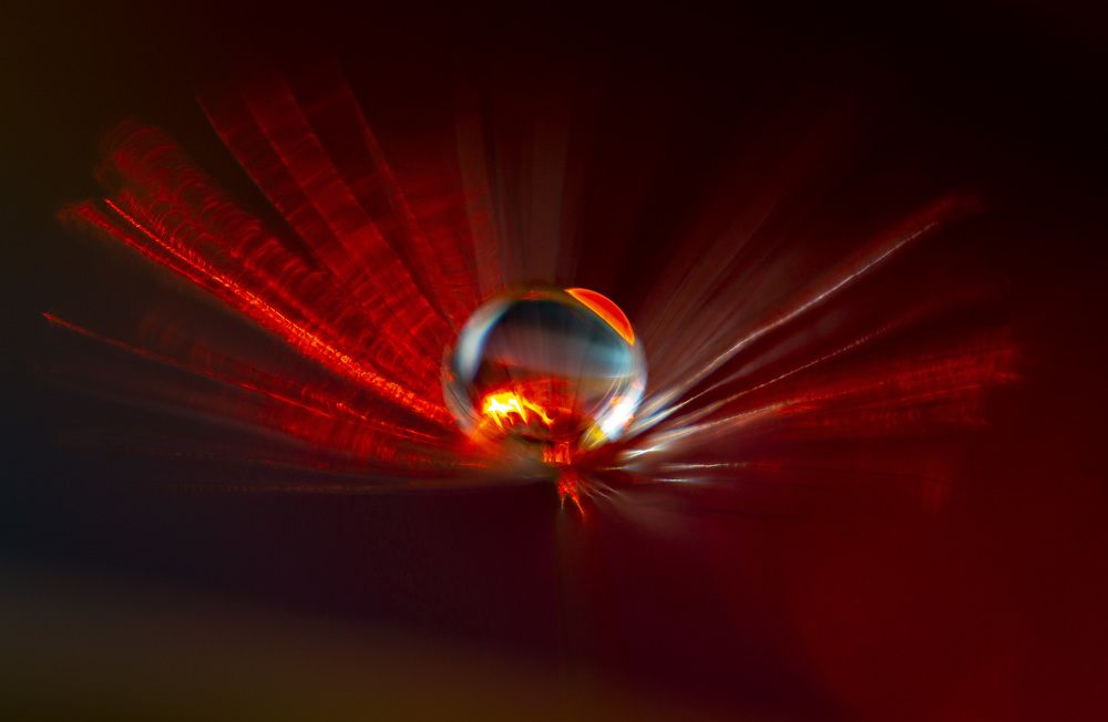 Photograph by Евгений Ермаков