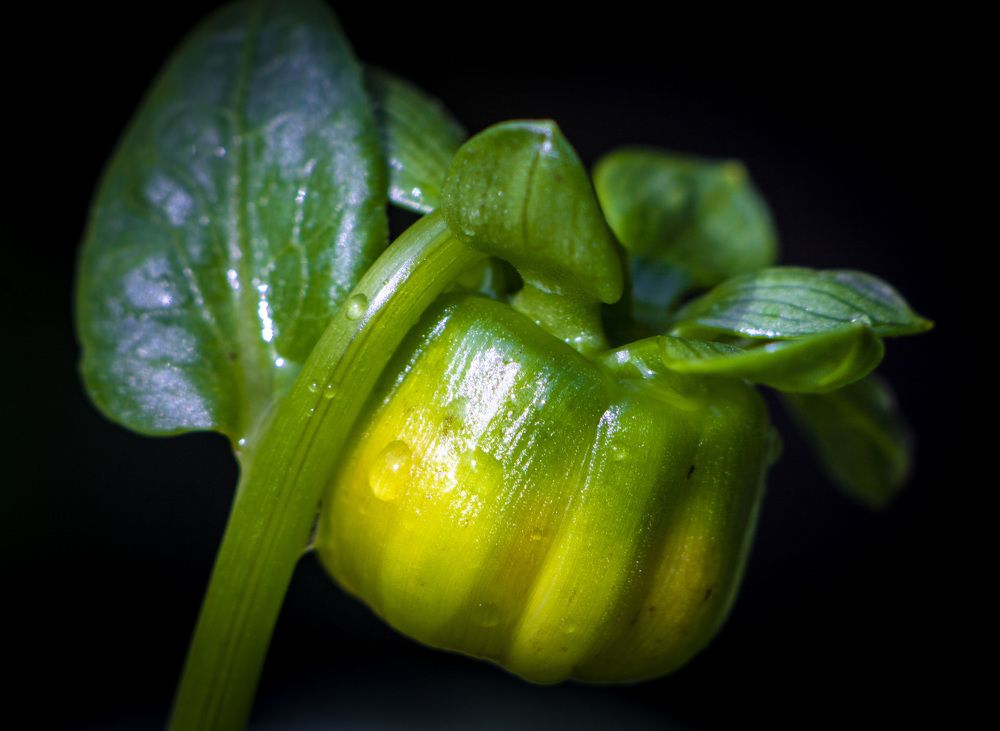 Photograph by Евгений Ермаков