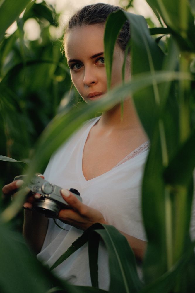 Жаркие джунгли