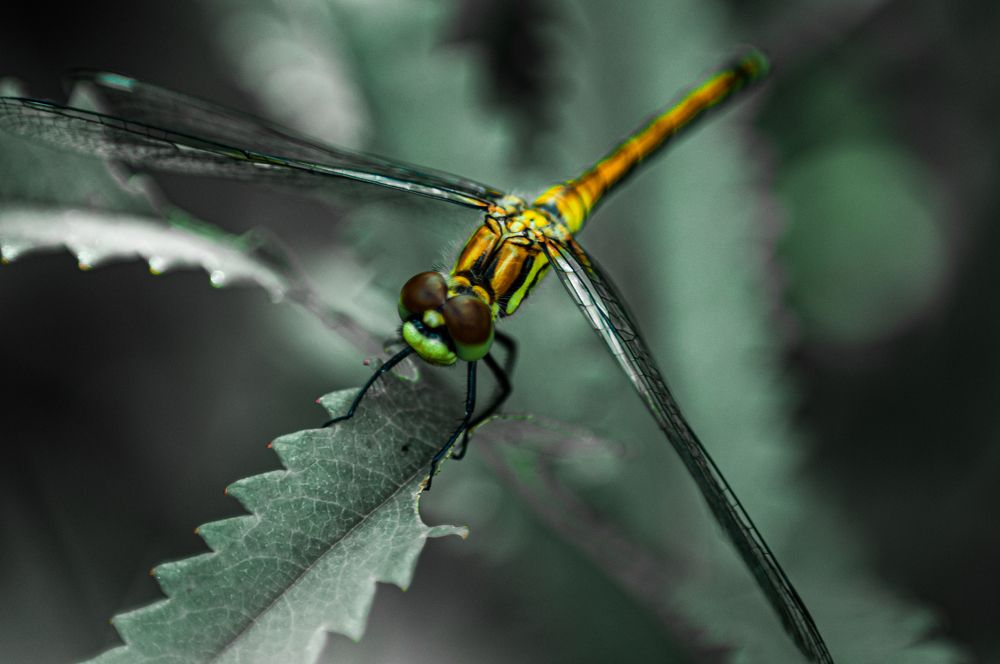 Photograph by Алексей Егоров