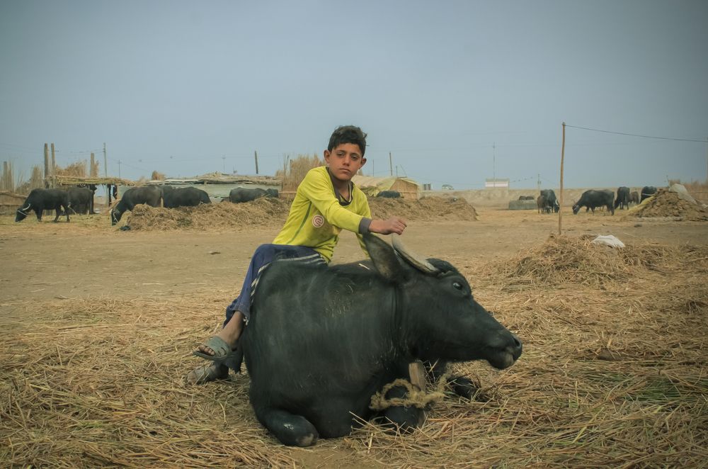 Photograph by Al-Fadhli Mohammad