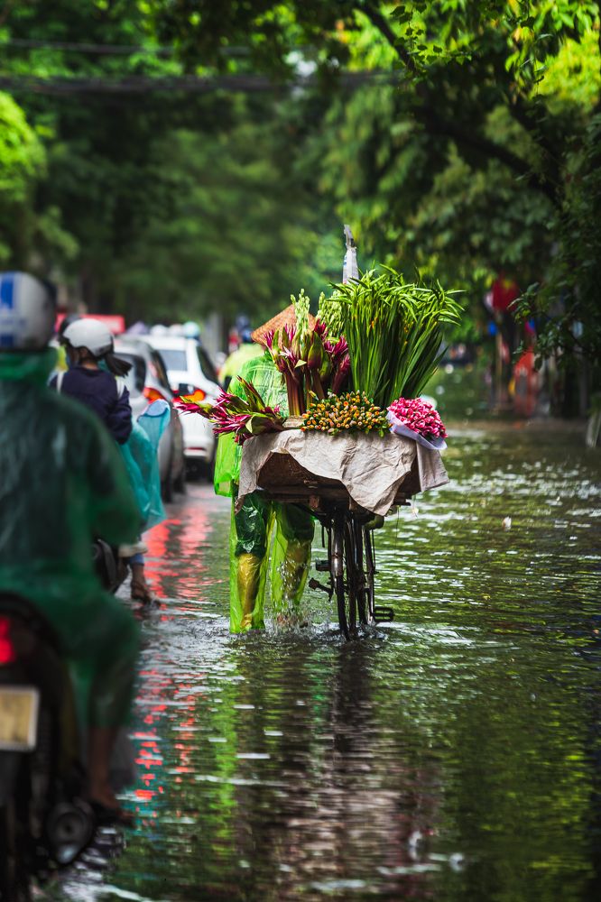 Photograph by Nguyễn Quốc Hùng