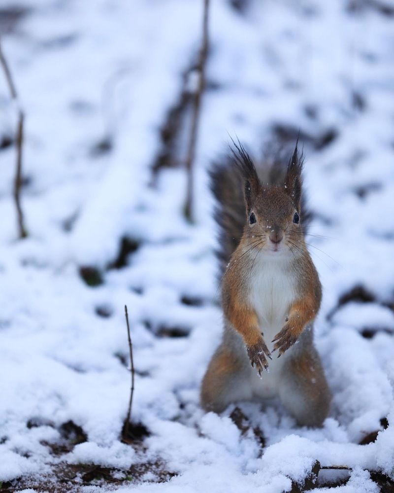 Photograph by Мария Kокоревич