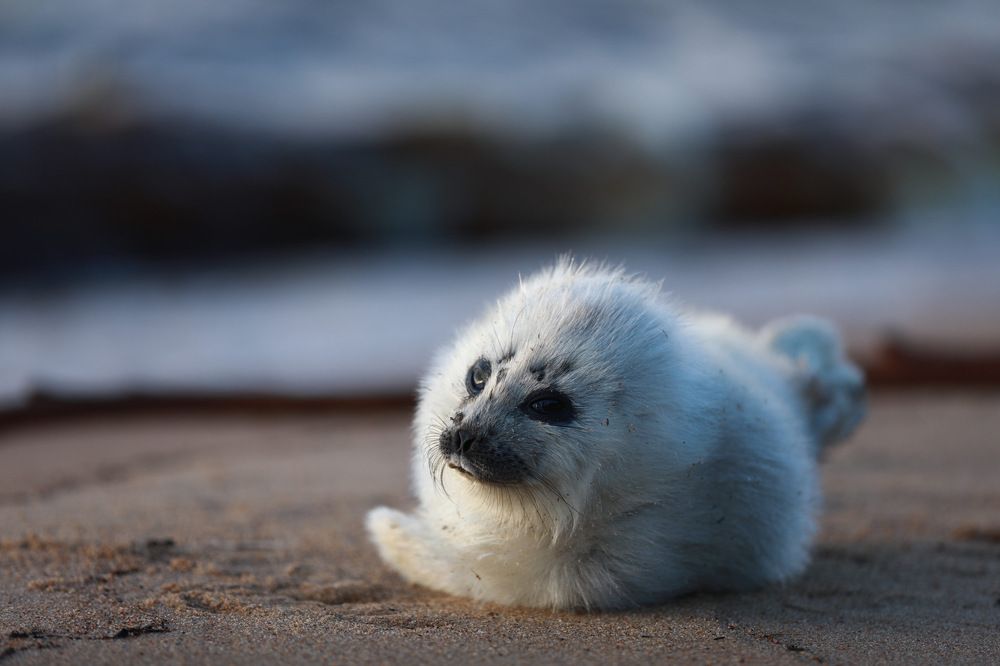 Photograph by Мария Kокоревич