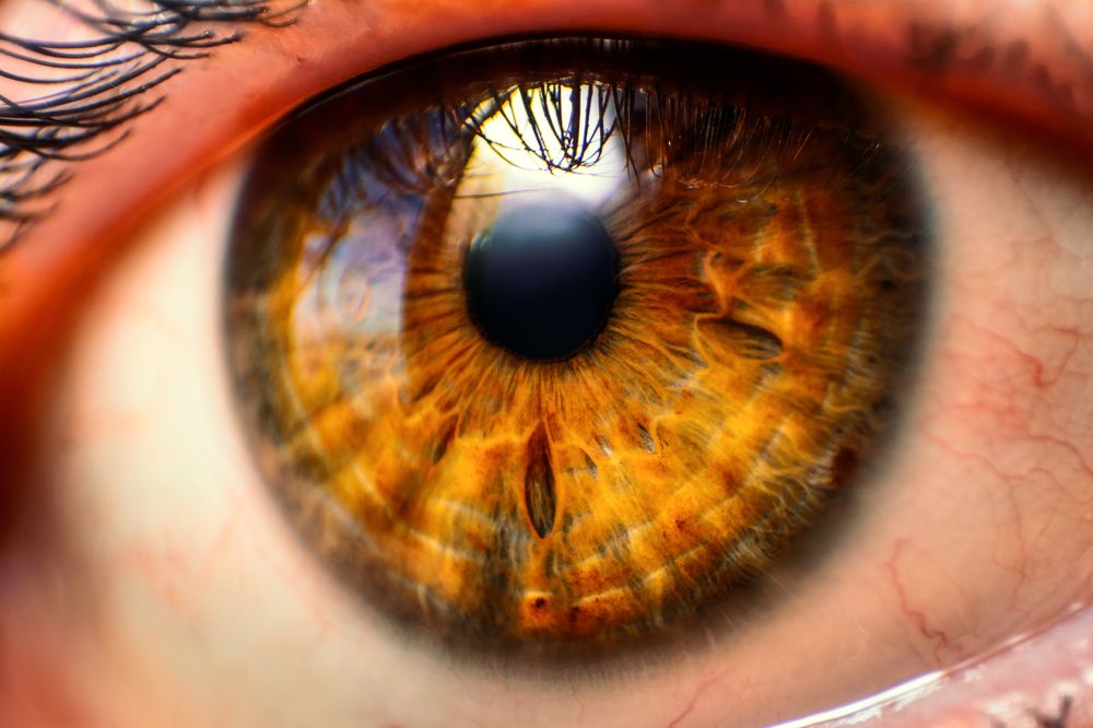 Photograph by mohamed