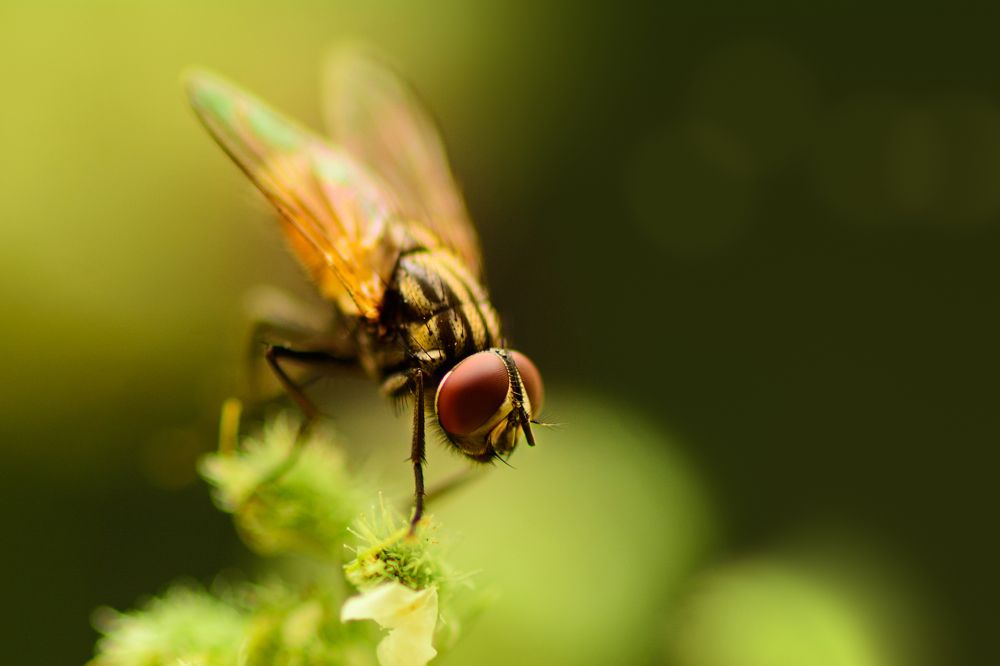 Photograph by mohamed