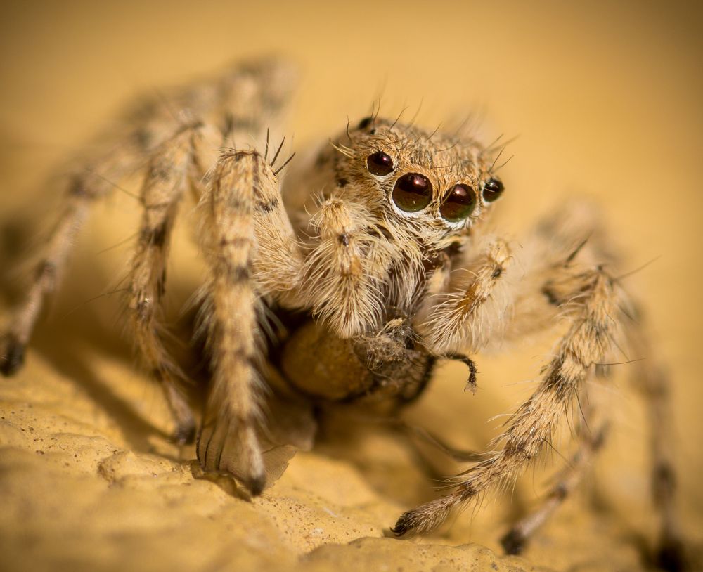 Photograph by mohamed