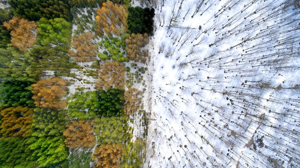 Photograph by Mohammadreza Masoumi