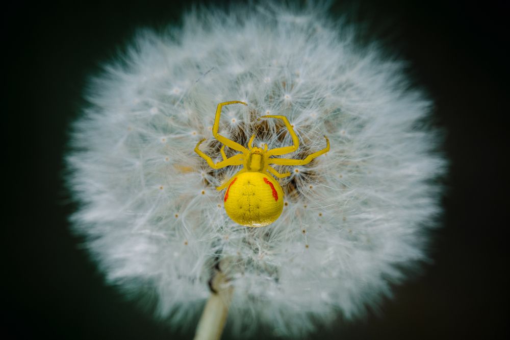 Photograph by Алексей Лунин