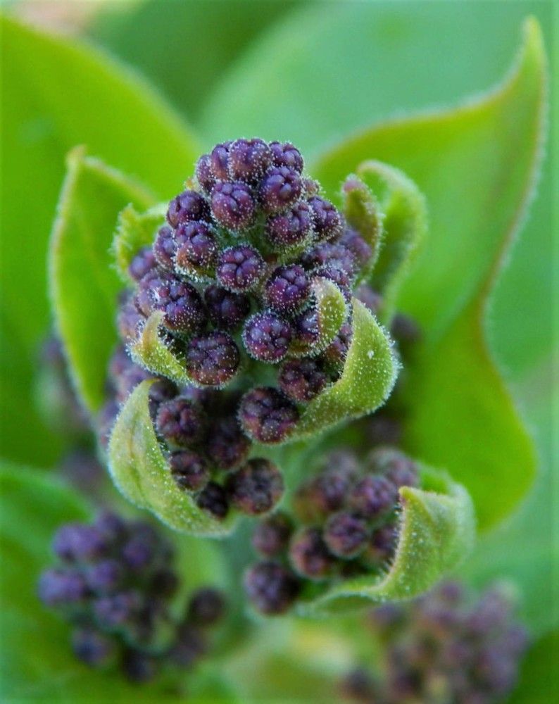 Photograph by Ирина Самойленко