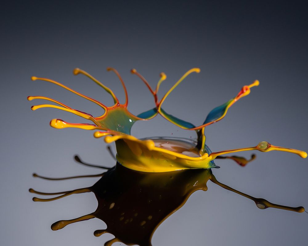 Photograph by Данил Артыков