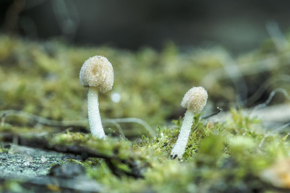 Photograph by Данил Артыков