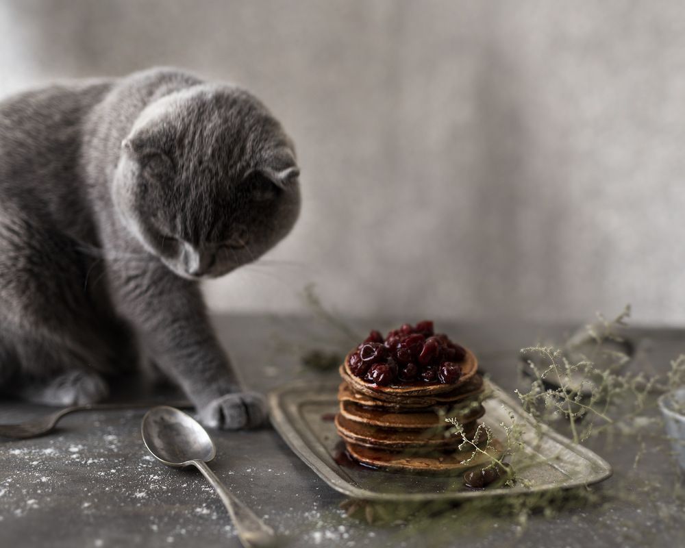 Berries pancake
