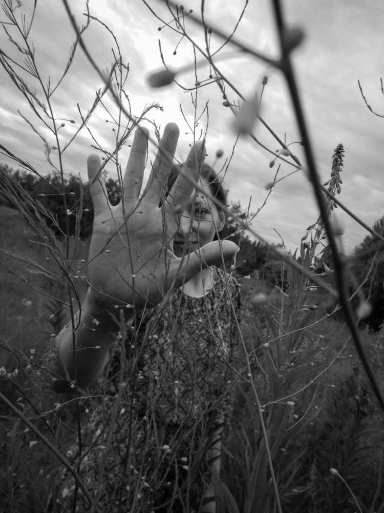 Photo #6393999