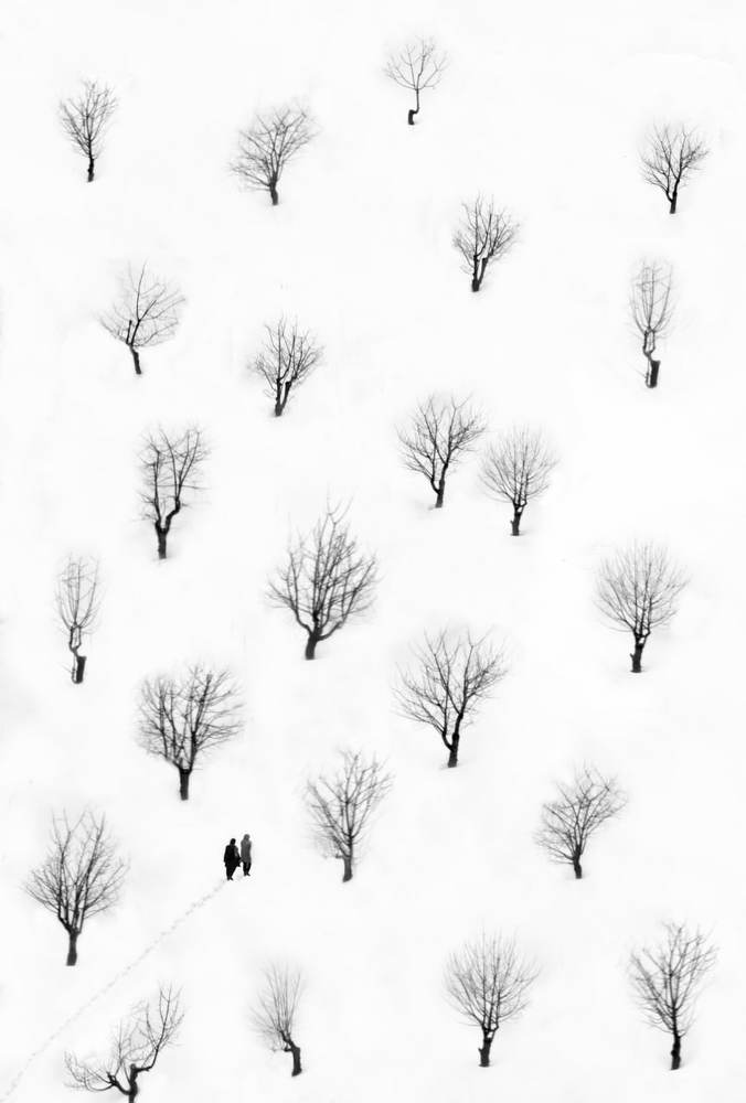 Photograph by Mahmoodreza Noraei