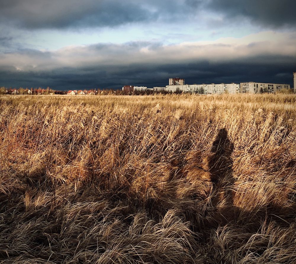 ...под светом звезды по имени Солнце (с)