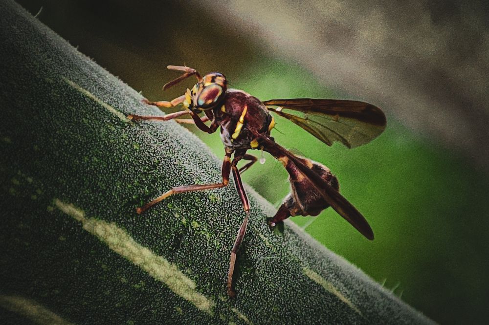 Photograph by Tanvir mahamud