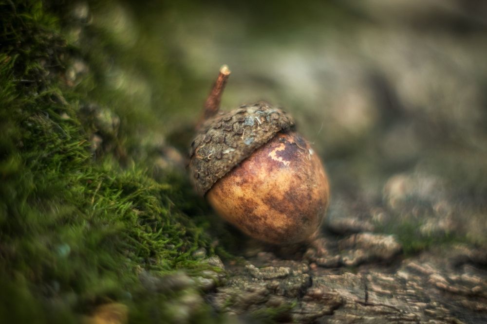 Photograph by Юлия Авдеева