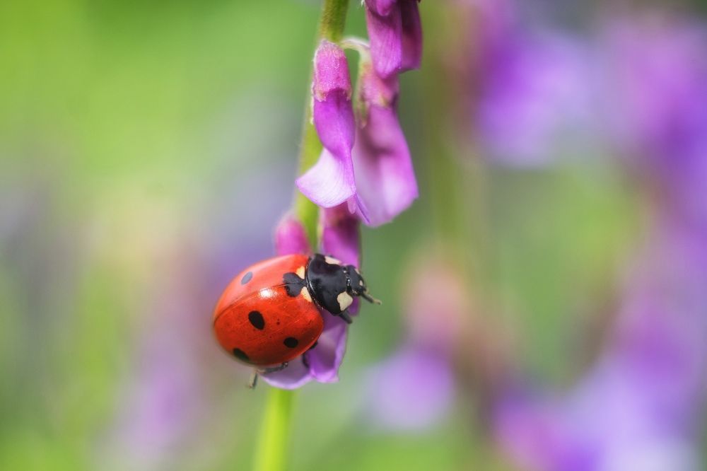 Photograph by Юлия Авдеева