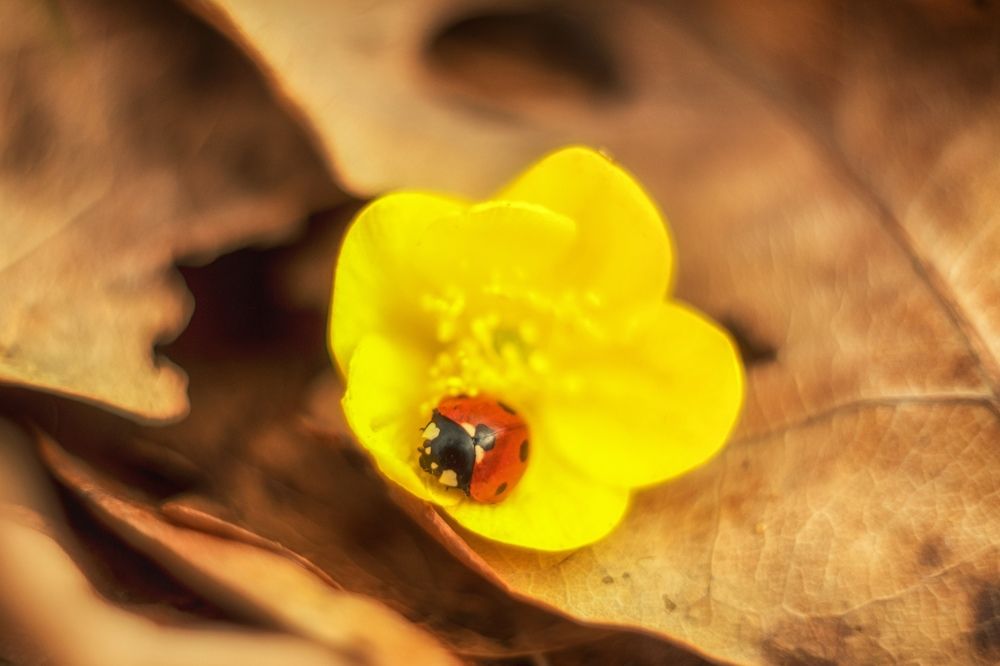 Photograph by Юлия Авдеева