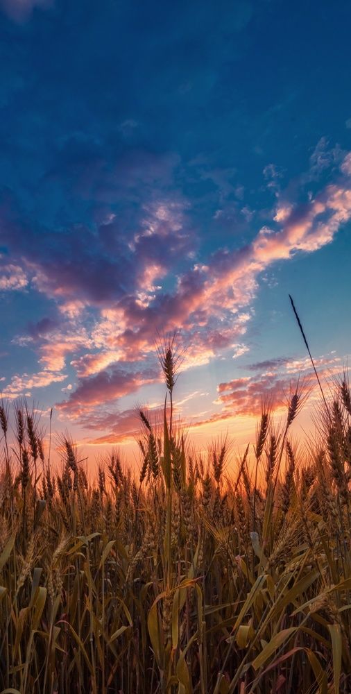 Photograph by Света Богоявленская