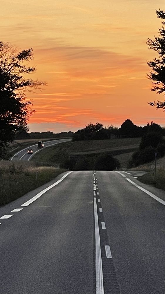 Photograph by Lila Sabbaghian Rad