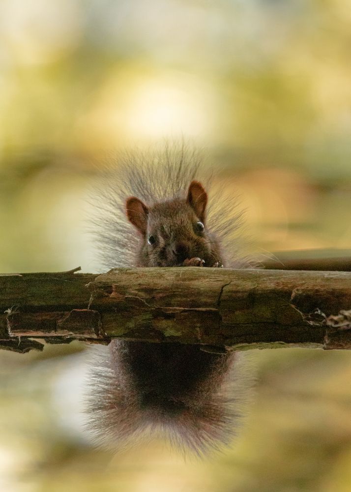 Photograph by Радослав Сотиров