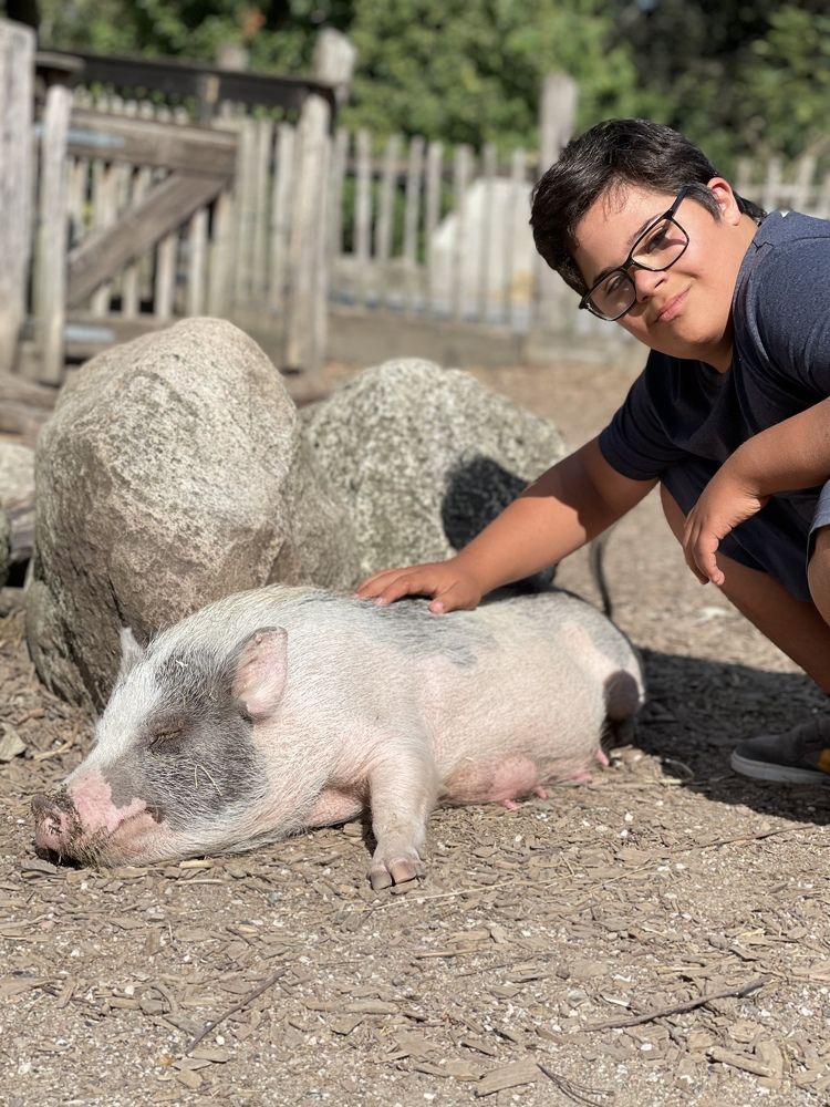 Photograph by Lila Sabbaghian Rad