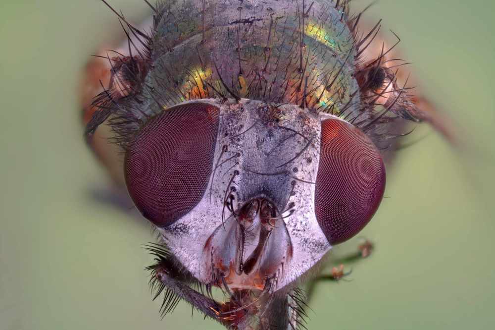 Photograph by Александр Трипольский