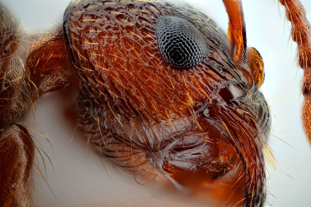 Photograph by Александр Трипольский