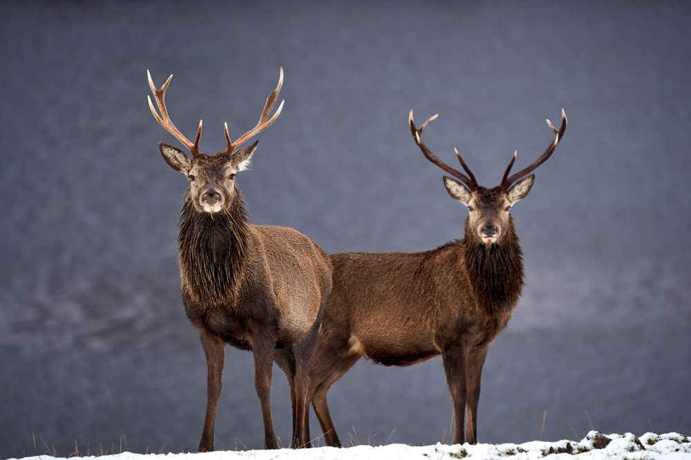 Photograph by Freck Fraser