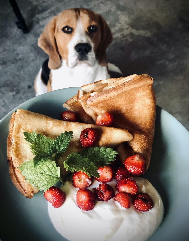 Photograph by Алина Томарева