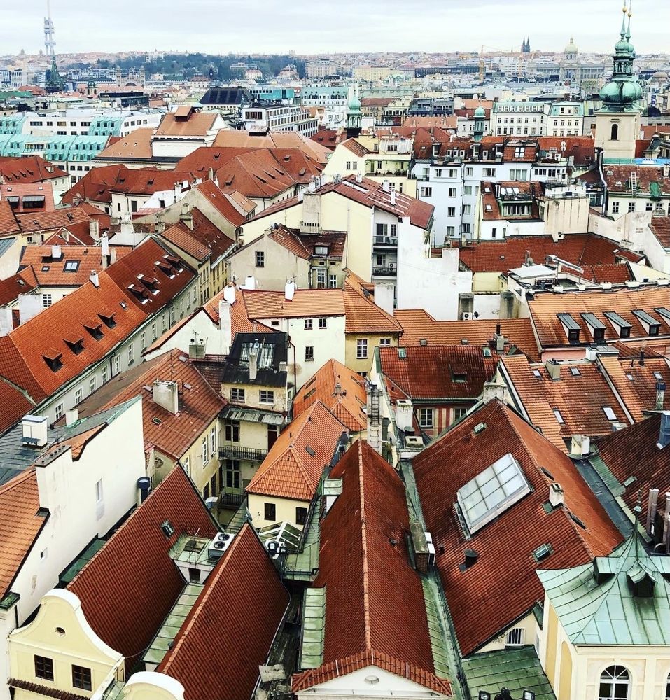 Photograph by Алина Томарева