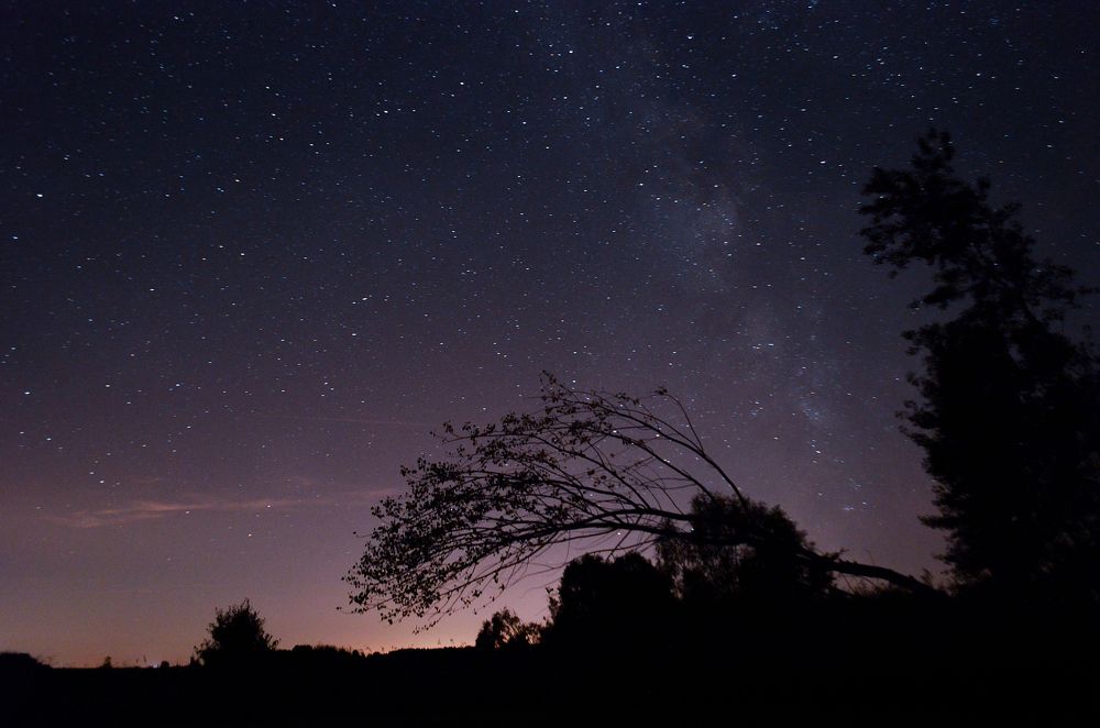 Photograph by Светлана Болотнова