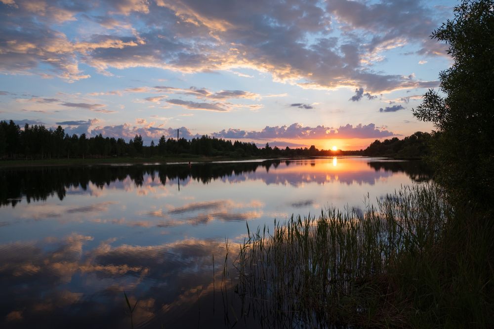 Photograph by Гусева Юлия