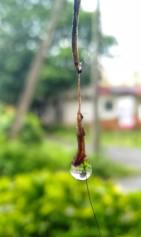 Photograph by ISHANK DESHPANDE