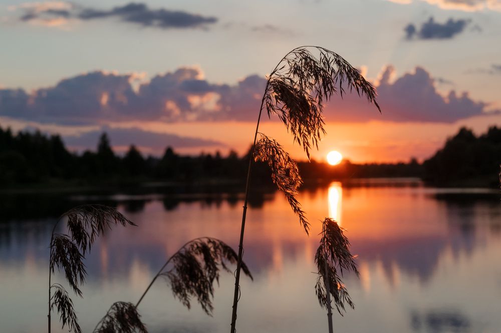 Photograph by Гусева Юлия