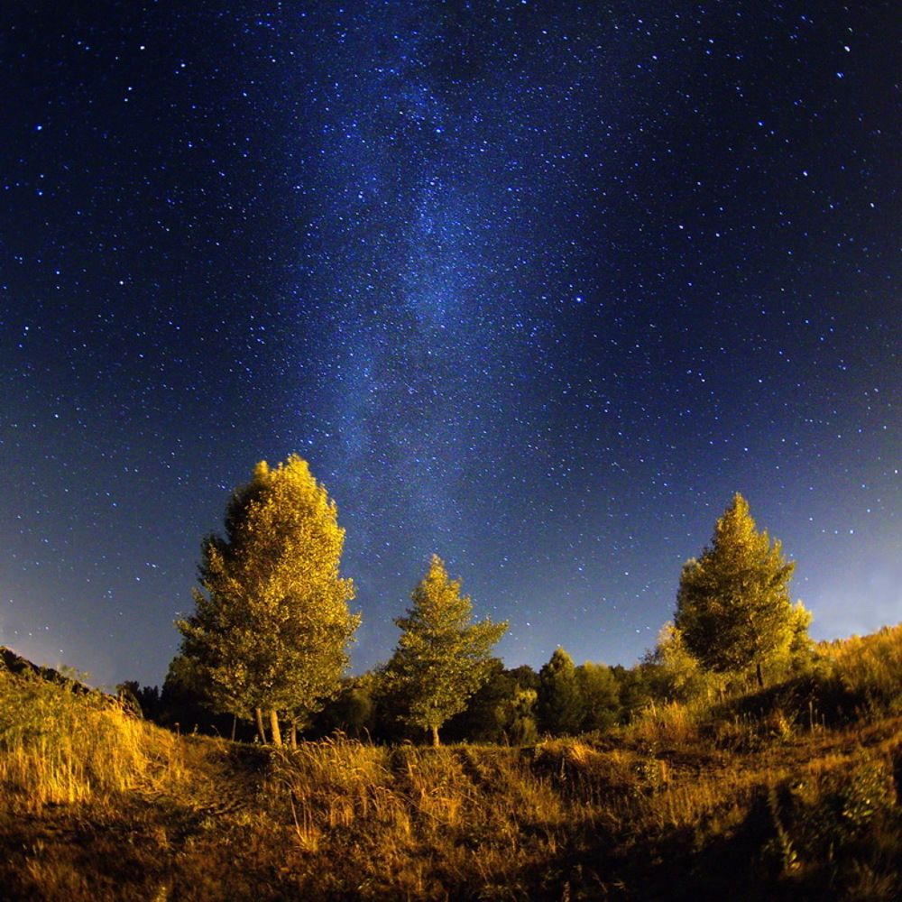 Photograph by Сергей Шляга